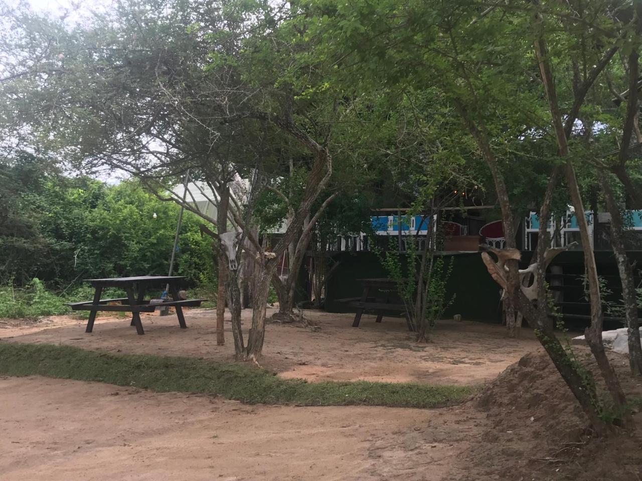 Elephant Lake Yala تيساماهاراما المظهر الخارجي الصورة