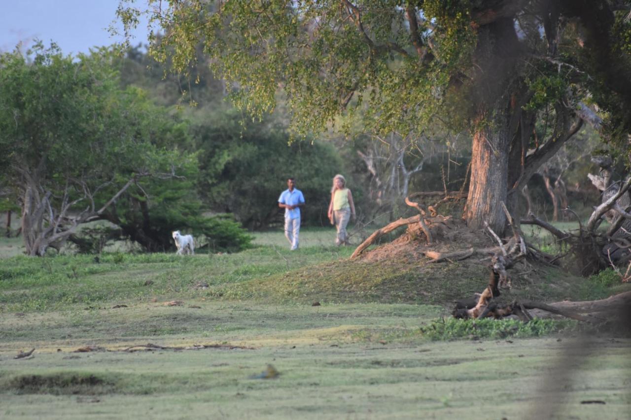 Elephant Lake Yala تيساماهاراما المظهر الخارجي الصورة